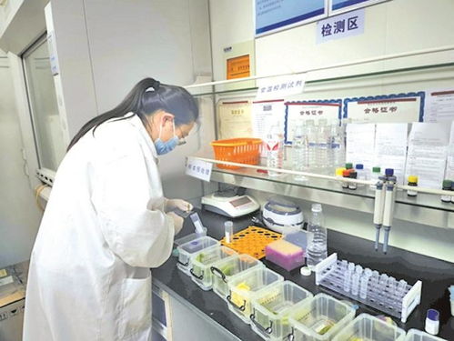 無(wú)錫農(nóng)貿(mào)市場(chǎng)實(shí)現(xiàn)快檢全覆蓋，上半年檢測(cè)90多萬(wàn)批次合格率超99%